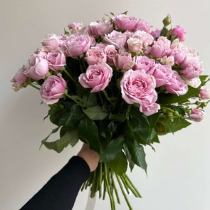 Роза кустовая ароматная Луиза 35х150